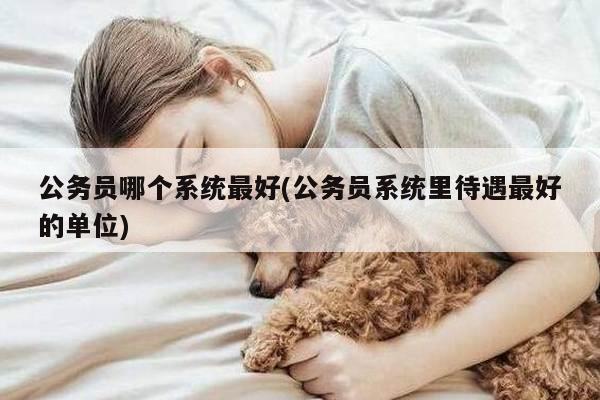 公务员哪个系统最好(公务员系统里待遇最好的单位)