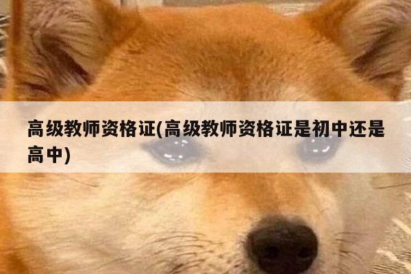 高级教师资格证(高级教师资格证是初中还是高中)