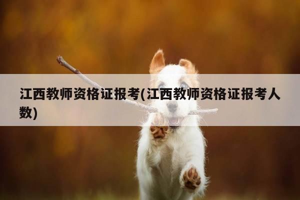 江西教师资格证报考(江西教师资格证报考人数)