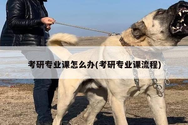 考研专业课怎么办(考研专业课流程)