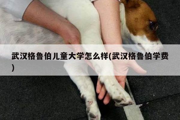 武汉格鲁伯儿童大学怎么样(武汉格鲁伯学费)