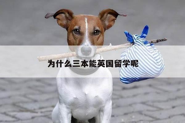 为什么三本能英国留学呢