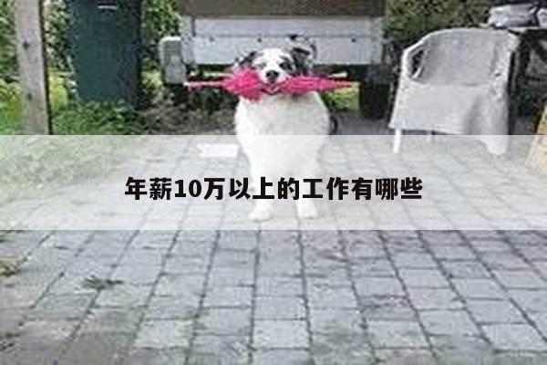 年薪10万以上的工作有哪些