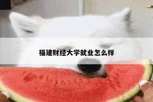 福建财经大学就业怎么样