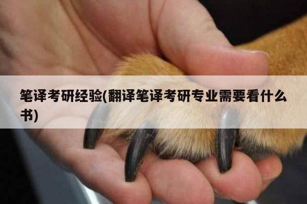 笔译考研经验(翻译笔译考研专业需要看什么书)