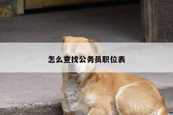 怎么查找公务员职位表