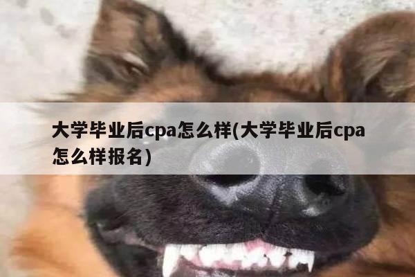 大学毕业后cpa怎么样(大学毕业后cpa怎么样报名)