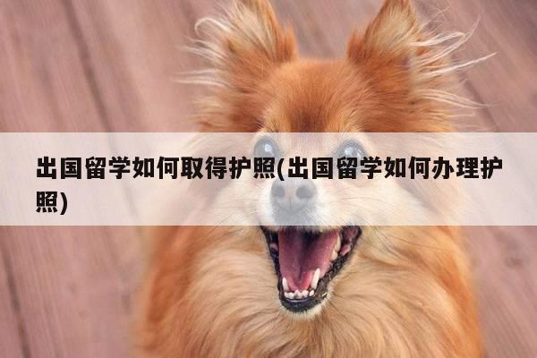 出国留学如何取得护照(出国留学如何办理护照)