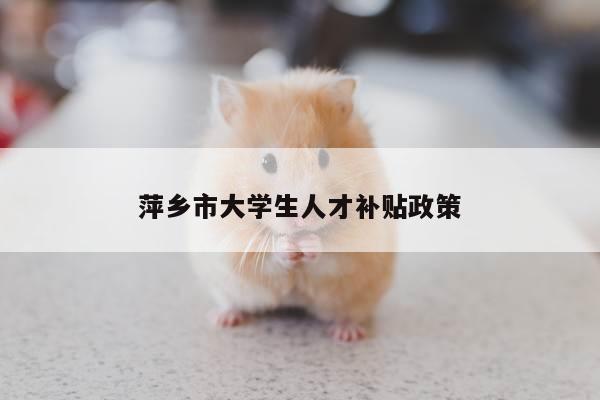 萍乡市大学生人才补贴政策