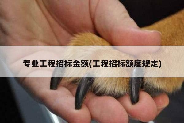 专业工程招标金额(工程招标额度规定)