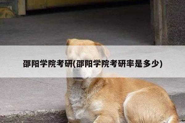 邵阳学院考研(邵阳学院考研率是多少)