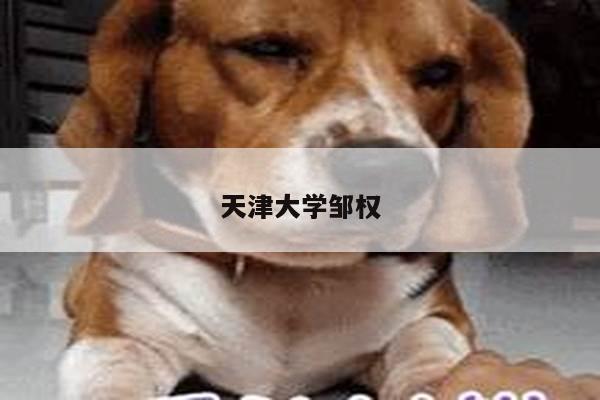 天津大学邹权