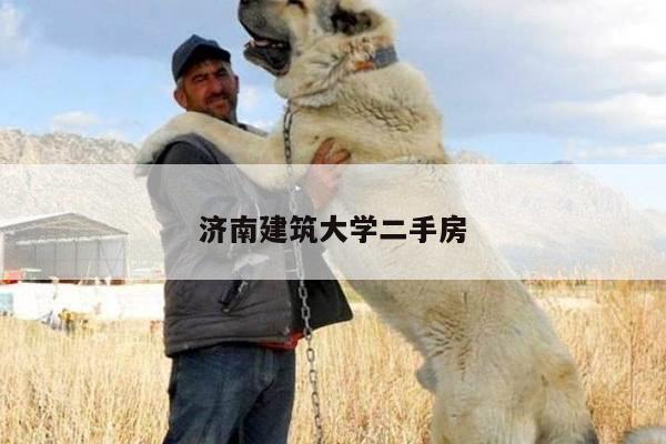 济南建筑大学二手房