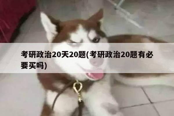 考研政治20天20题(考研政治20题有必要买吗)
