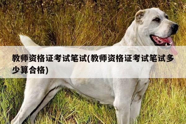 教师资格证考试笔试(教师资格证考试笔试多少算合格)