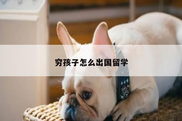 穷孩子怎么出国留学