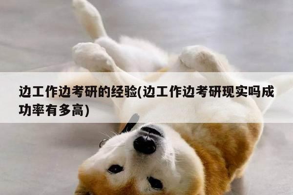 边工作边考研的经验(边工作边考研现实吗成功率有多高)