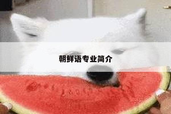 朝鲜语专业简介