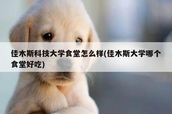 佳木斯科技大学食堂怎么样(佳木斯大学哪个食堂好吃)