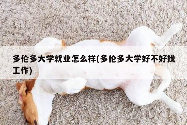 多伦多大学就业怎么样(多伦多大学好不好找工作)