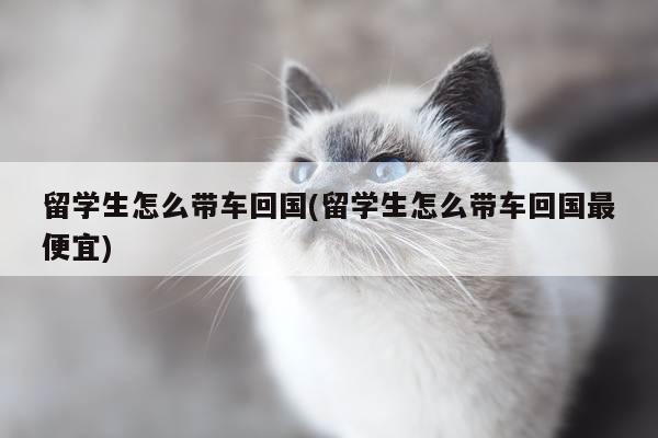 留学生怎么带车回国(留学生怎么带车回国最便宜)