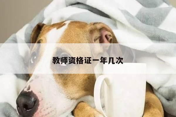 教师资格证一年几次