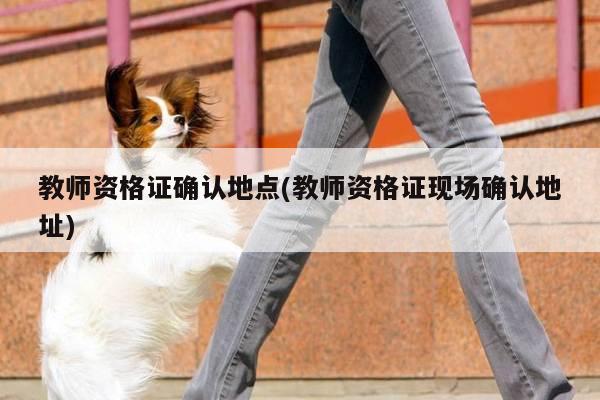 教师资格证确认地点(教师资格证现场确认地址)