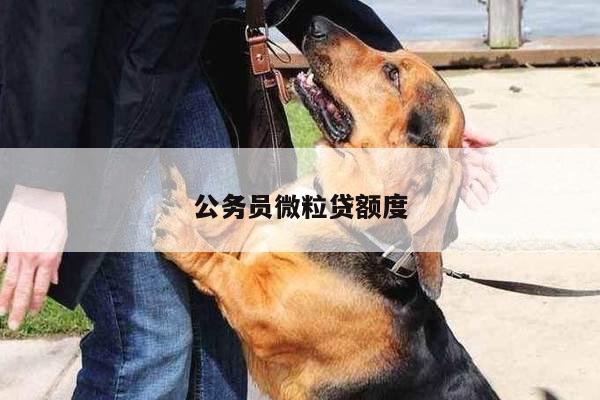 公务员微粒贷额度