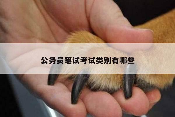 公务员笔试考试类别有哪些