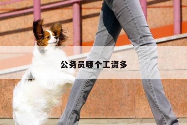公务员哪个工资多