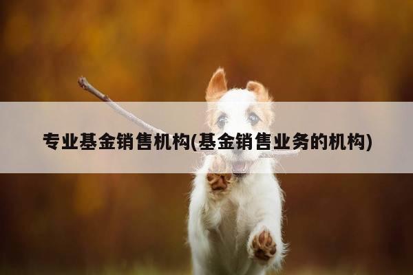 专业基金销售机构(基金销售业务的机构)