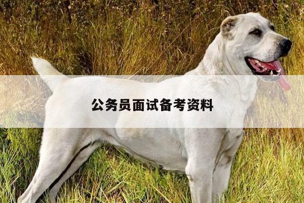 公务员面试备考资料