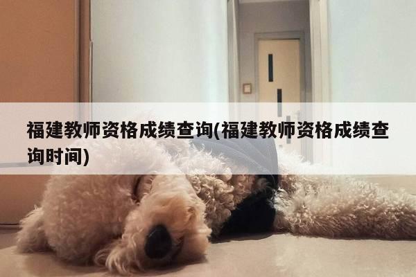 福建教师资格成绩查询(福建教师资格成绩查询时间)