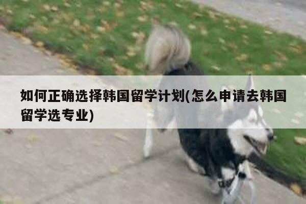 如何正确选择韩国留学计划(怎么申请去韩国留学选专业)