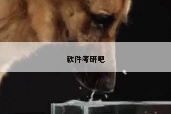 软件考研吧