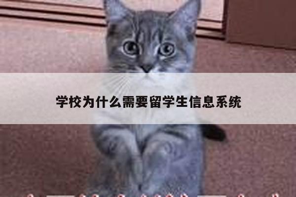 学校为什么需要留学生信息系统