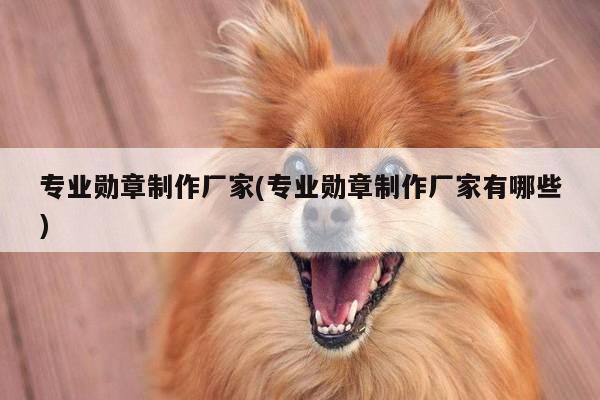 专业勋章制作厂家(专业勋章制作厂家有哪些)
