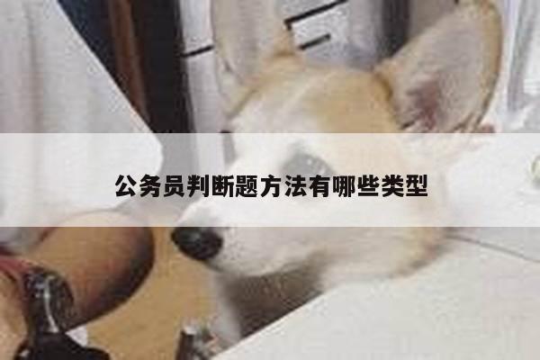 公务员判断题方法有哪些类型