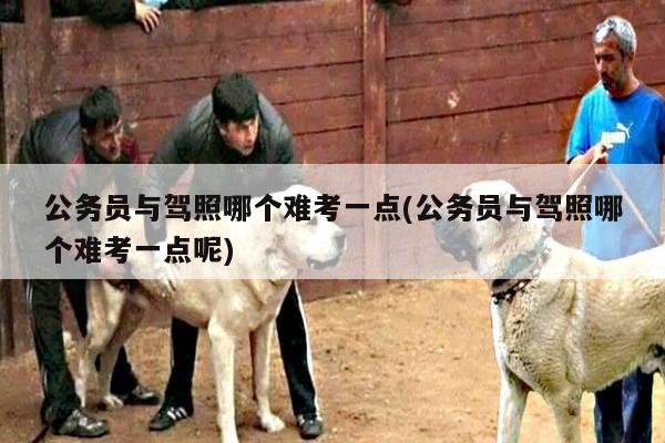 公务员与驾照哪个难考一点(公务员与驾照哪个难考一点呢)