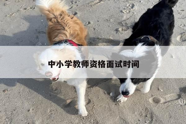 中小学教师资格面试时间