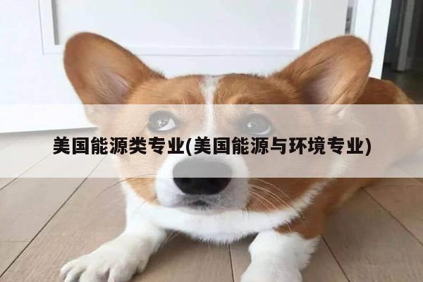 美国能源类专业(美国能源与环境专业)