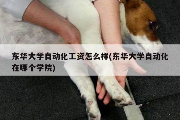 东华大学自动化工资怎么样(东华大学自动化在哪个学院)