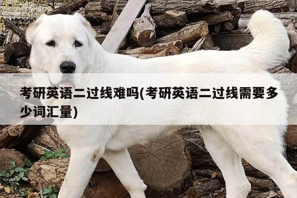 考研英语二过线难吗(考研英语二过线需要多少词汇量)