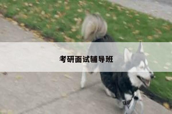 考研面试辅导班