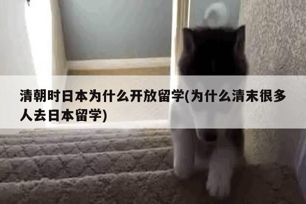 清朝时日本为什么开放留学(为什么清末很多人去日本留学)