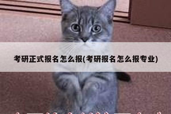 考研正式报名怎么报(考研报名怎么报专业)