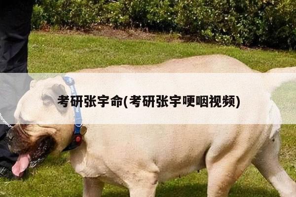 考研张宇命(考研张宇哽咽视频)