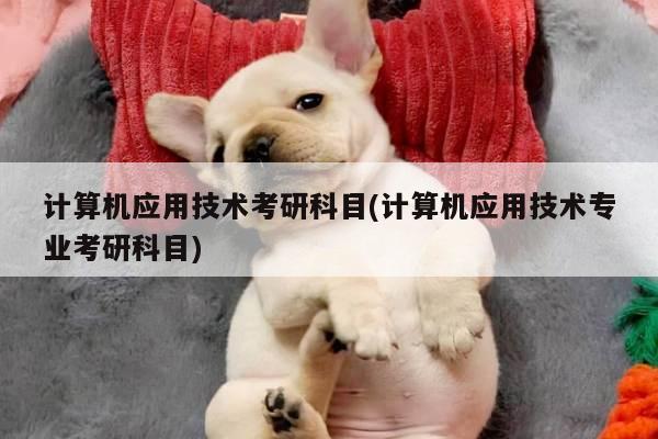 计算机应用技术考研科目(计算机应用技术专业考研科目)