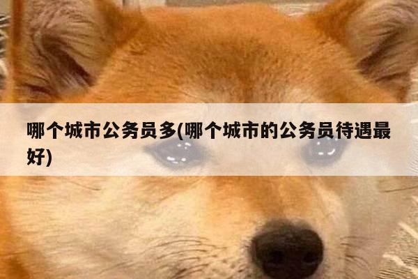 哪个城市公务员多(哪个城市的公务员待遇最好)