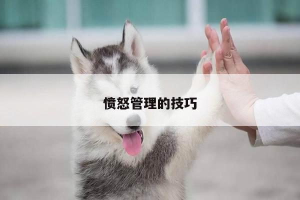 愤怒管理的技巧